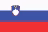สโลวีเนีย ลิกา 2