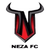 Toros Neza