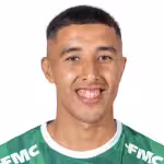 Gallardo D.