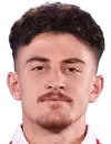 Basyigit E.