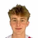 Sondergaard P.