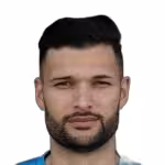 Matheus Fornazari