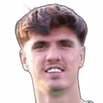 Dehghan M.