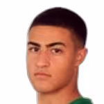 El Wahabi A.