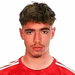Dos Santos M.